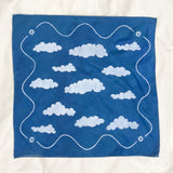 Earth from Above Bandana (sample sale)